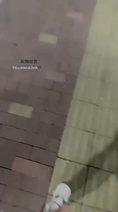 葱宝S 户外调教男m