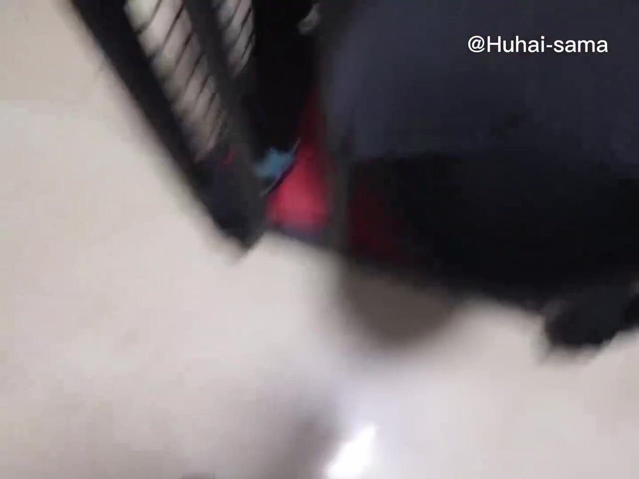 胡亥亥 踩脸 男m 踩踏 舔 (1)