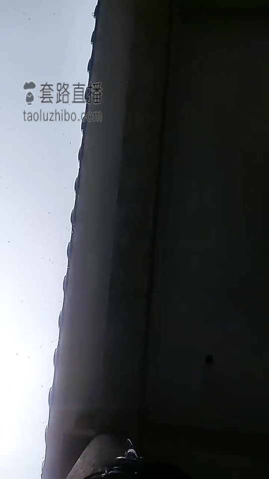 暴力美学 套路 (37)