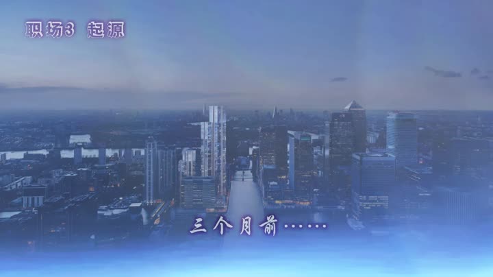 [鱼翔浅底]职场OL的潜规则密录3