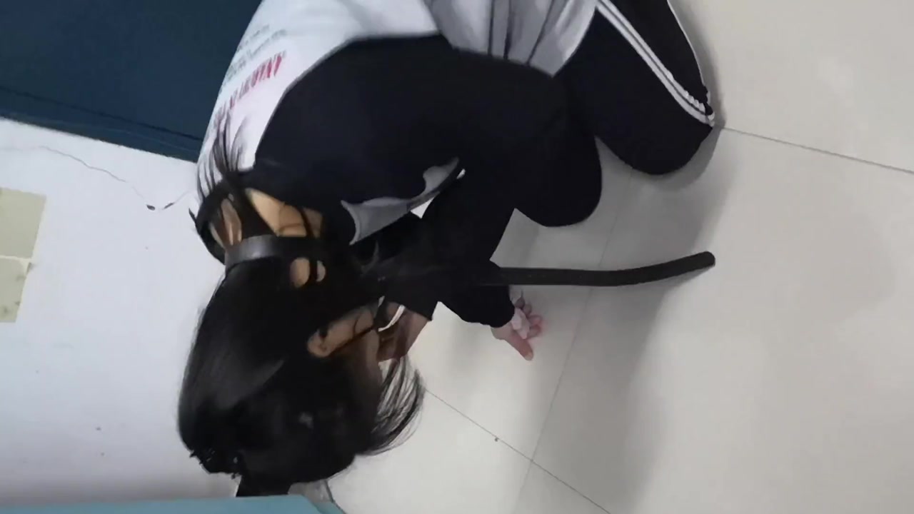 36_【哈宝S调女M】叼袜子帆布鞋宿舍遛狗