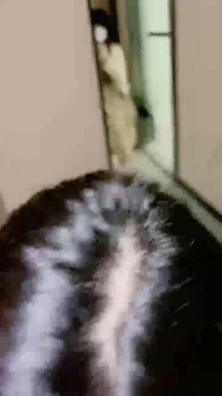橙宝s 调教女m专场 女女调教 (50)