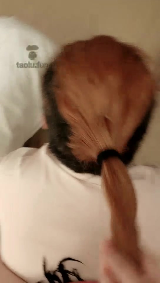 2_【哈宝S】一个长发狗狗分钟