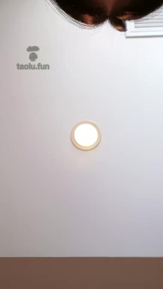 16_【哈宝S】帆布鞋棉袜玩狗狗，口水足深喉